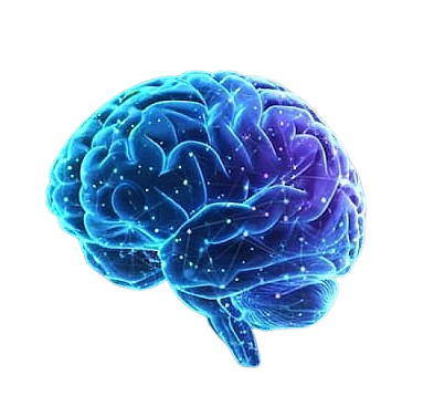 NeuroVytis Logo